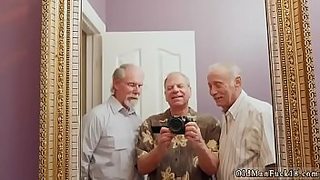 sex old bear