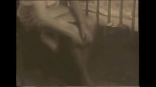 large old pussy video
